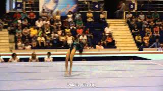 Andreea Munteanu FX 2014 D-Score (2013-2016 CoP)