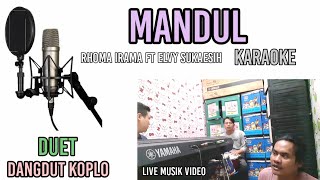 Download lagu MANDUL RHOMA IRAMA KARAOKE DUET DANGDUT KOPLO