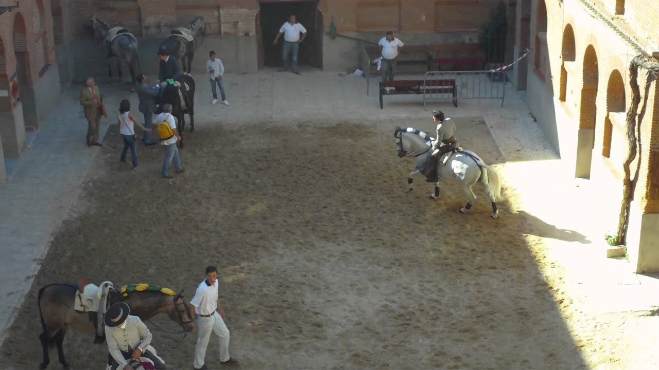 PATIO DE CABALLOS DE LAS VENTAS YouTube