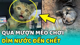 😻 Chấn động bé gái DÌM NƯỚC bé MÈO CON đến TỬ VONG rồi GIẤU XÁC | MEOW screenshot 3