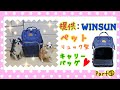 【提供】Part⓷“WINSUN” おしゃれなリュック型ペットキャリーバッグが届きました！！犬　猫　チワワ　Chihuahua
