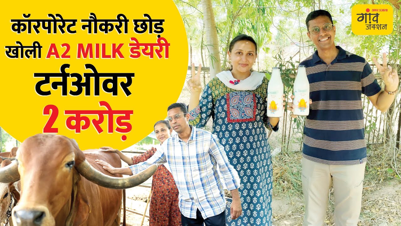 इंजीनियर-प्रोफेसर दंपति का गिर गायों का हाईटेक डेयरी फार्म, 3000 रुपए किलो घी, 800 रुपए किलो पनीर