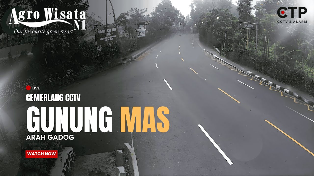 LIVE CCTV Jalur Puncak Agrowisata Gunung Mas | Arah Gadog 24 Jam — by Cemerlang CCTV