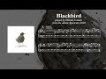 Blackbird - Hiromi Uehara ( Piano Transcription )