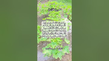 سورة المائدة ٣٢#قرآن #قرآن_كريم #quran #قران #قران_كريم #اكسبلور #قرأن