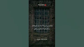 (ياصاحبي السجن)حالات واتس||رعد الكردي||من سورة يوسف