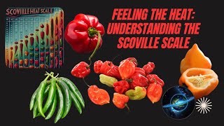 Feeling the Heat  Understanding the Scoville Scale #chilli #food #spicy #lifestyle #viral #water