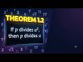 Theorem 1.2 Explained: If $p$ divides $a^2$, then $p$ divides $a$ | Class 10 Maths Chapter 1