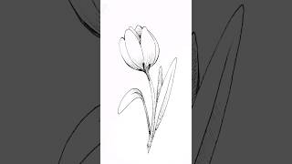 How to draw a flower | Tulip 🌷#drawing #art #artwork #painting #sketch #style #flower