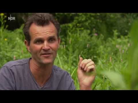 Garten ohne Gärtner YouTube