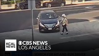 Search underway for driver who hit 63-year-old woman crossing Sherman Oaks street