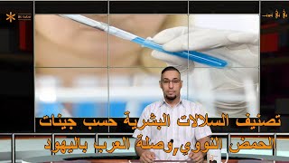 تصنيف السلالات البشرية حسب جينات Y-DNA وصلة العرب باليهود