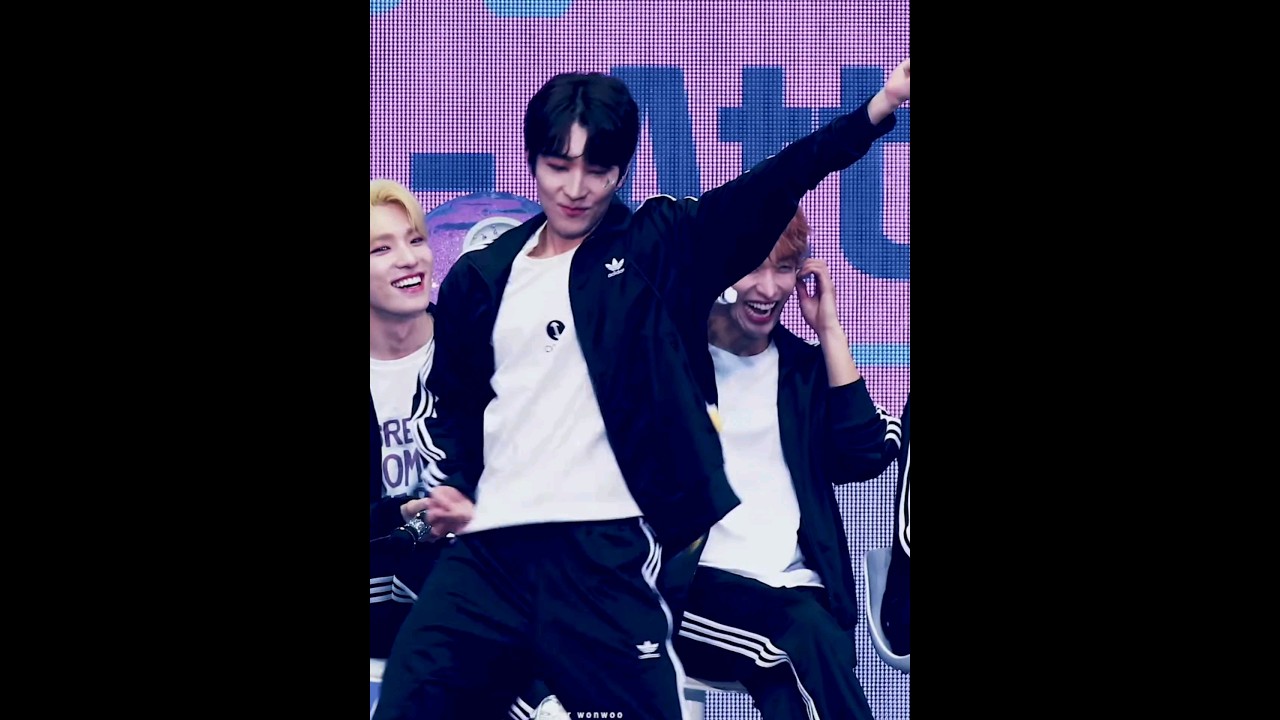 CARAT reaction,SEVENTEEN performing on songs that doesn't suit them😆😅