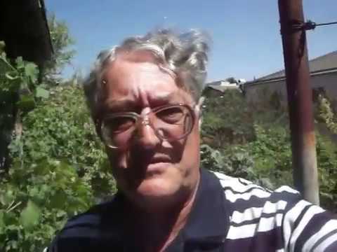 ბაღი და კაკტუსი აგვისტოში