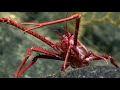 Deep-Sea Exploration Quiz
