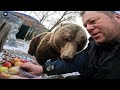 Новости по забору и Мансуркин завтрак 🐻🍎