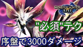 【モンハンライズ】タマミツネの簡単な倒し方 3000ダメージ稼ぐ方法【MHRise 体験版 モンスターハンター ライズ】