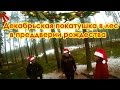 Покатушка в лес перед рождеством