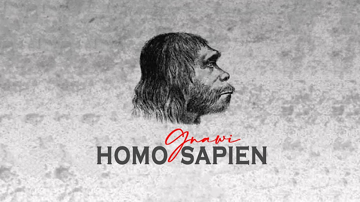 Gnawi - HOMO SAPIEN Prod. CEE-G