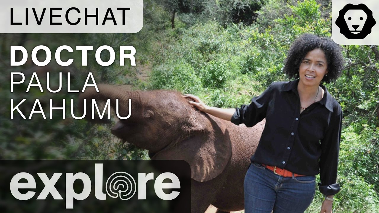 kudu bahrain Dr. Paula Kahumbu Wildlife Conservationist - Live Chat 08/11/16