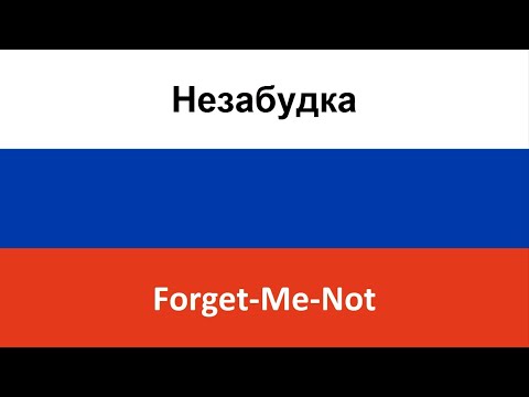 Незабудка -- Forget-Me-Not (Tima Belorusskikh) in ENGLISH and RUSSIAN