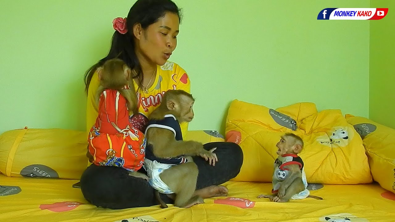 Funny Tiny Baby Olly Disturbed Brother Kako With Sister Luna Can't Sleep