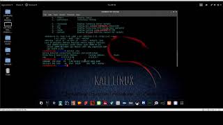 Blue & Red Team Training - Basic Network & Sys Commands