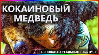 Кокаиновый Медведь — Фильм На Вечер — Обзор 2023