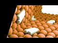 NEW EFFECT Samsung Logo Balls In Opposite 4ormulator V95 