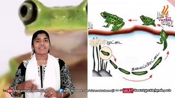 FB02 KITE Palakkad STD 5 Basic Science Episode 23 (First bell2 Tamil medium   பஸ்ட் பெல்2)