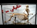 نصف انسان ونصف حصان مخلوق القنطور هل هو حقيقي فعلا ام اسطورة من الخيال نصف انسان ونصف حصان مخلوق القنطور هل هو حقيقي فعلا ام اسطورة من الخيال
