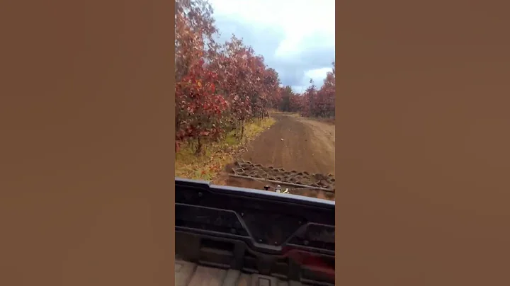 Trail grooming in the fall at Sandy acres. Oct 2022