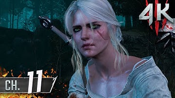 The Witcher 3: Wild Hunt [4K/60fps] (100%, Death March!) Part 11 - Bloody Baron