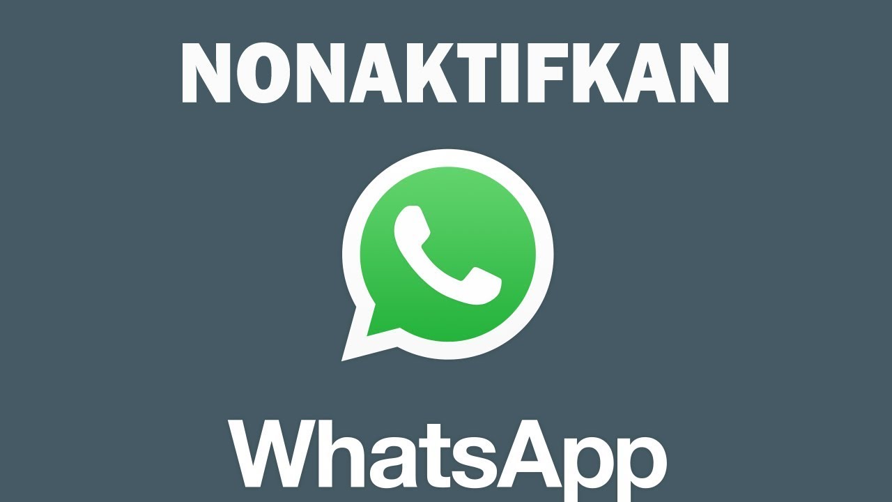 Cara Menonaktifkan WhatsApp Tanpa Harus Mematikan Internet