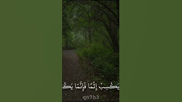 القران الكريم تلاوة ماهر المعيقلي سورة النساء #اكسبلور #المصحف