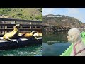 Sea Lions in Port San Luis – Cute Dog Kayaks Past Sea Lions on Dock - Harford Pier, California