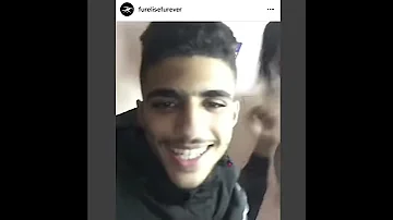 Freestyle By Furelise Furever 