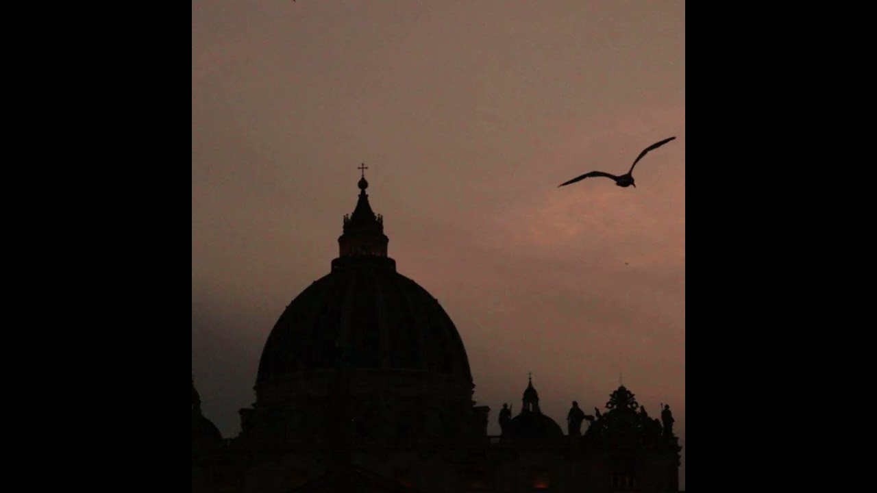 Untitled (Summer, 2024)