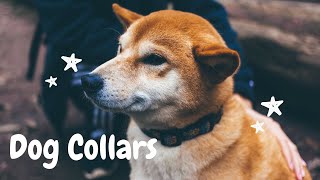 Dog Collars by Giggling Paws and Pets 9 views 3 years ago 2 minutes, 53 seconds