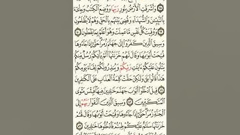قراءة من الشيخ :علاء الدين الغزاوي من سورة الزمر