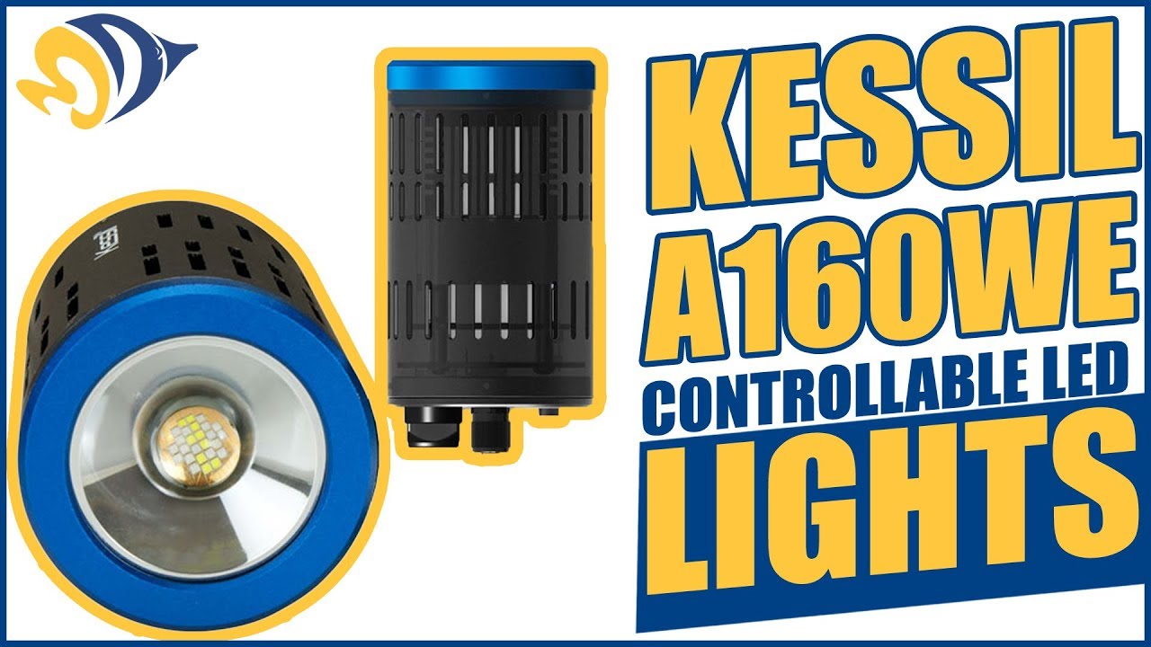 Kessil A160WE Controllable LED Lights: What YOU Need to Know - YouTube