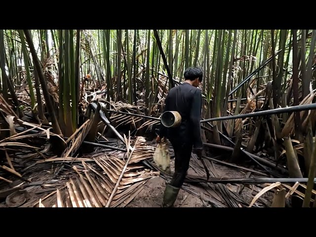 Berburu dan masak kerang kepah dalam hutan nipah, setelah setengah hari mancing tak dapat udang class=