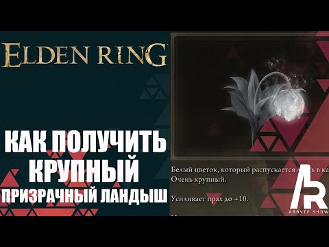 ELDEN RING: КАК ПОЛУЧИТЬ КРУПНЫЕ ПРИЗРАЧНЫЕ ЛАНДЫШИ. ПРОКАЧКА ОСОБЫХ ПРАХОВ ДО +10.