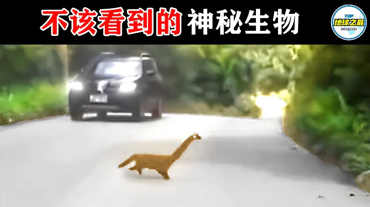 相機拍到不該看到的東西！真相難以置信！15種你從未見過的神秘生物！丨地球之最#冷知識 #排名 #世界之最#動物#動物世界#恐龍#透明生物#非洲巨蛙#猴臉蘭花#世界之最top#top10 - 天天要聞