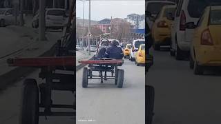 Şoför Abi̇me Laf Yok...