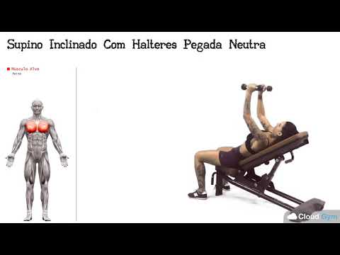 COMO FAZER O SUPINO RETO COM HALTERES PEGADA NEUTRA/HOW TO MAKE BENCH PRESS  WITH NEUTRAL GRIP 