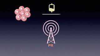 Pattarasiri Rangsrikitphoti - The role of progesterone receptor on chemotherapy responses in cancer