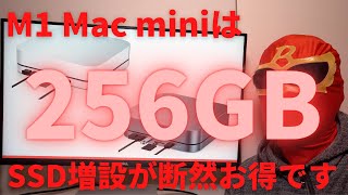 M1 Mac miniは断然256GBモデルがお得！ドッキングステーションを使ってSSD増設の方がメリットが高い！差額で1TBまで増設できる！おすすめの増設ガジェットを紹介！