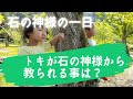 「今日は僕が話すね！！」石の神様がトキに教えて頂いている事を初めて聞きました！