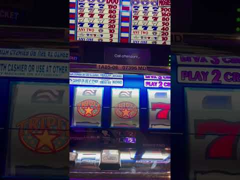 slot machine perla delfino 4 delfino pesci